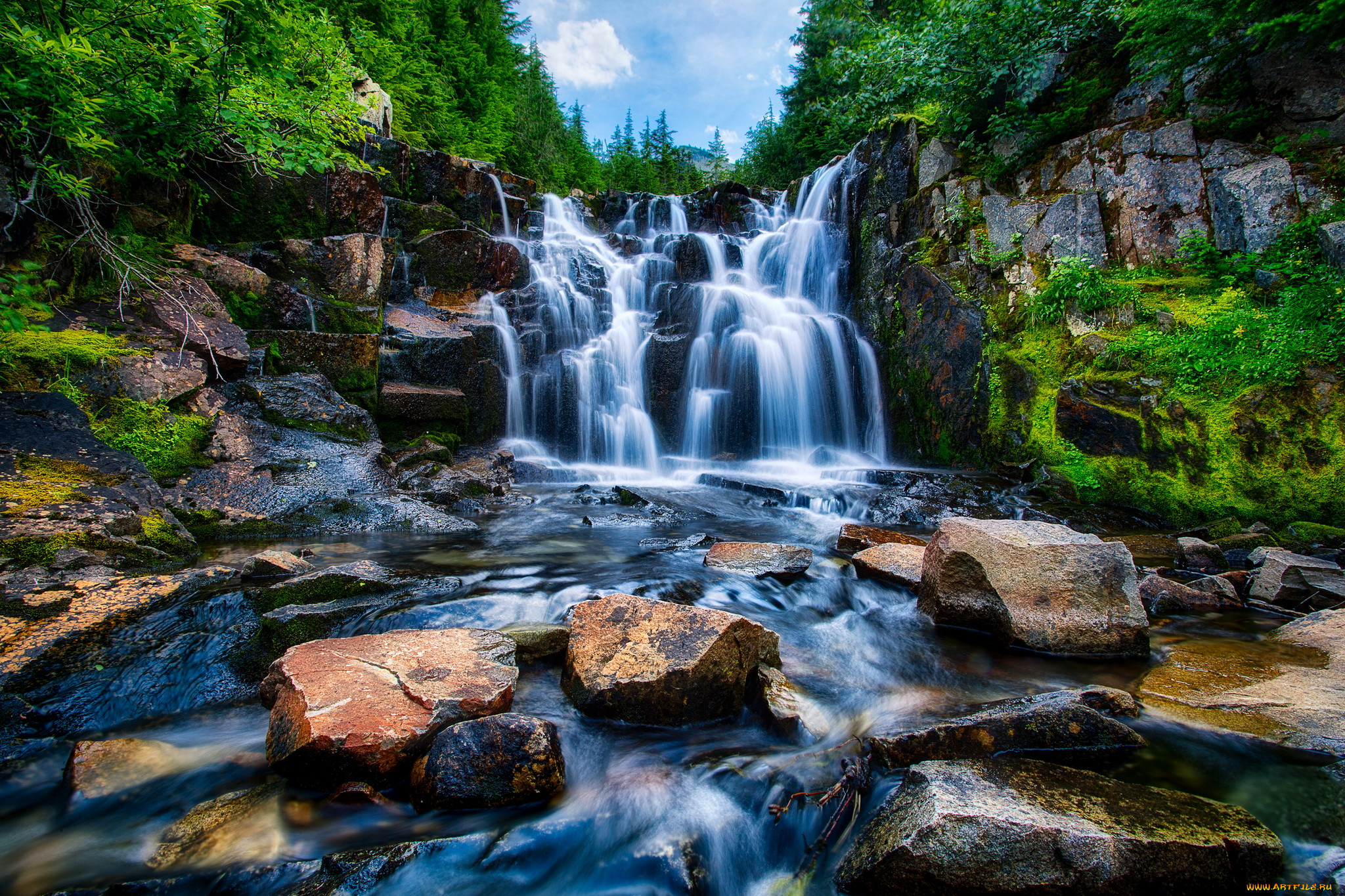 washington  mount rainier national park, , , , , park, mount, rainier, washington, 